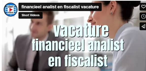 financieel analist en fiscalist