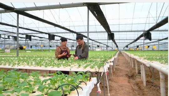 landbouwtechnicus vacature